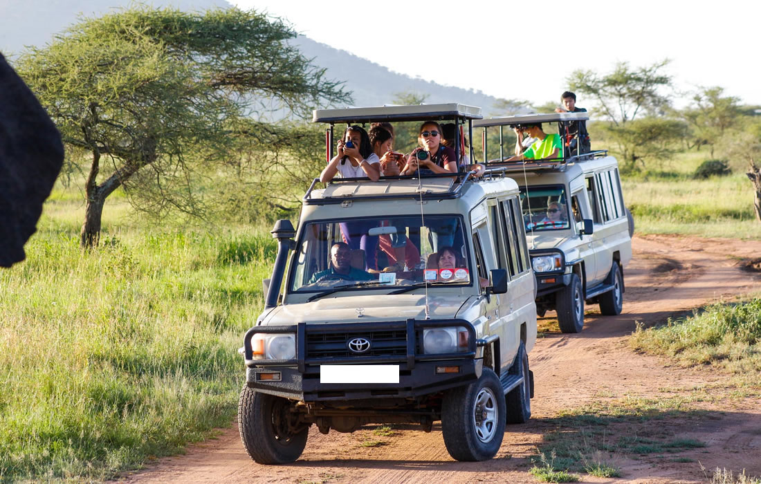 Tanzania Safari