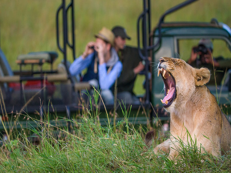 Ngorongoro Crater