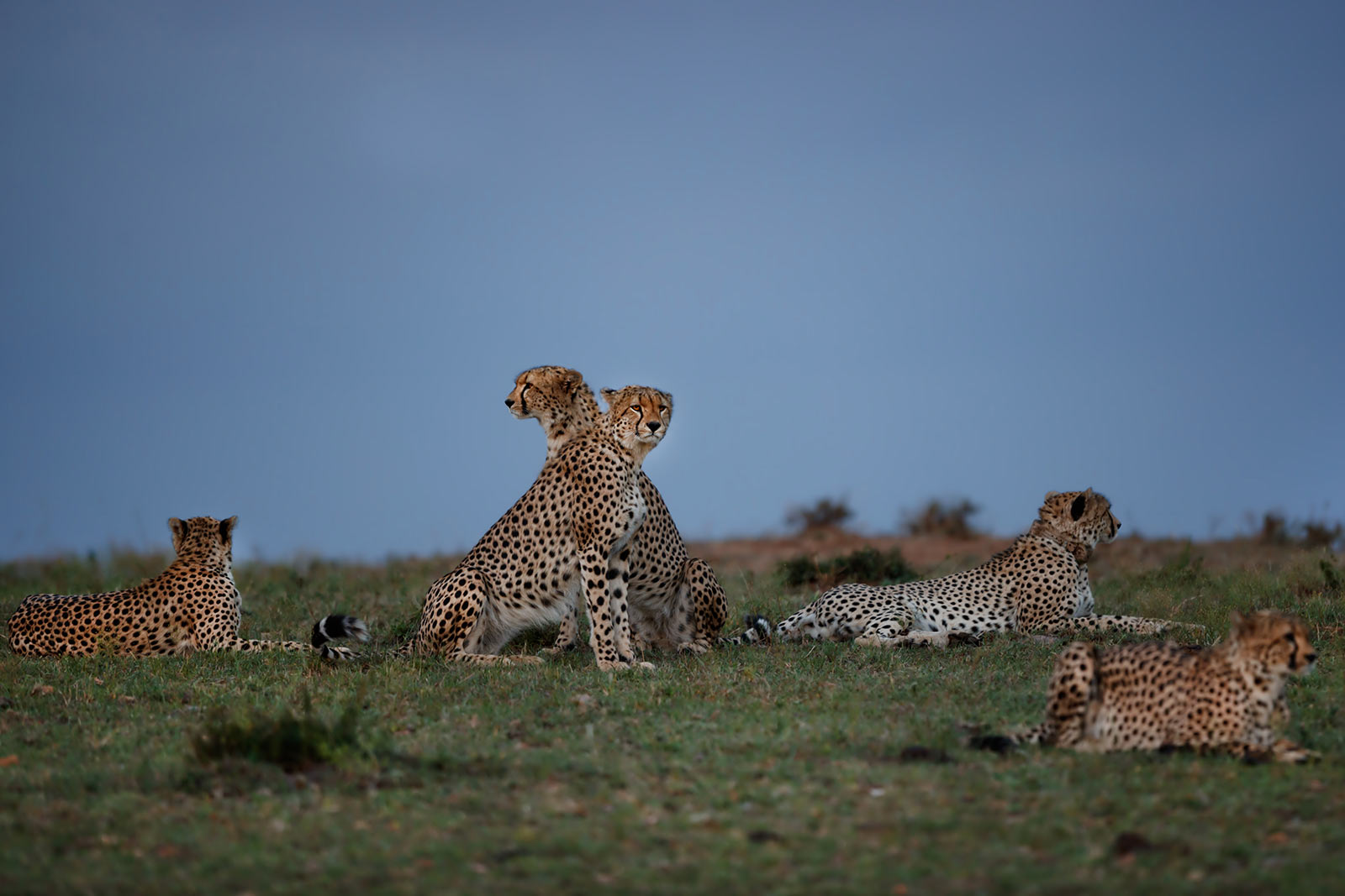 Serengeti National Park
