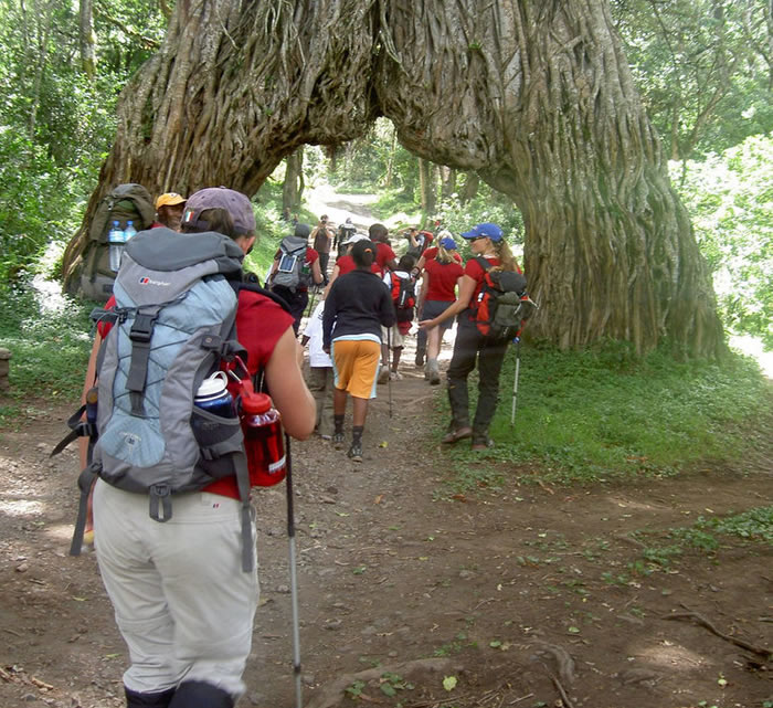 Arusha-National-Park
