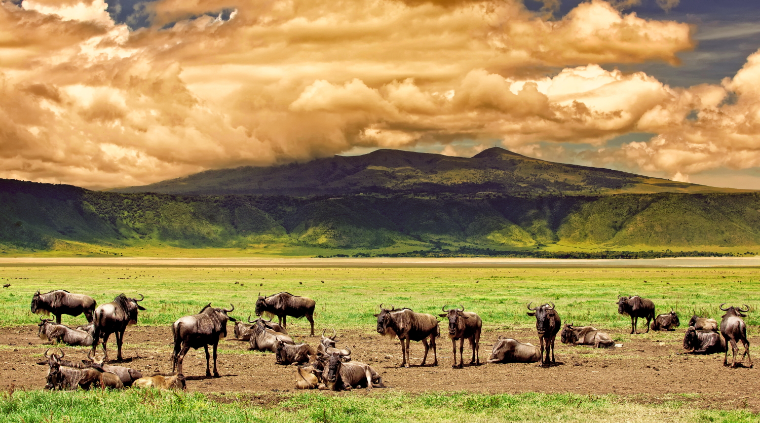 4 Days Ngorongoro Photography Safari