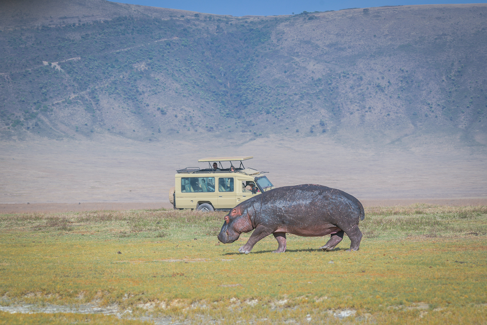 Ngorongoro Crater