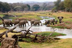 Selous Game Reserve