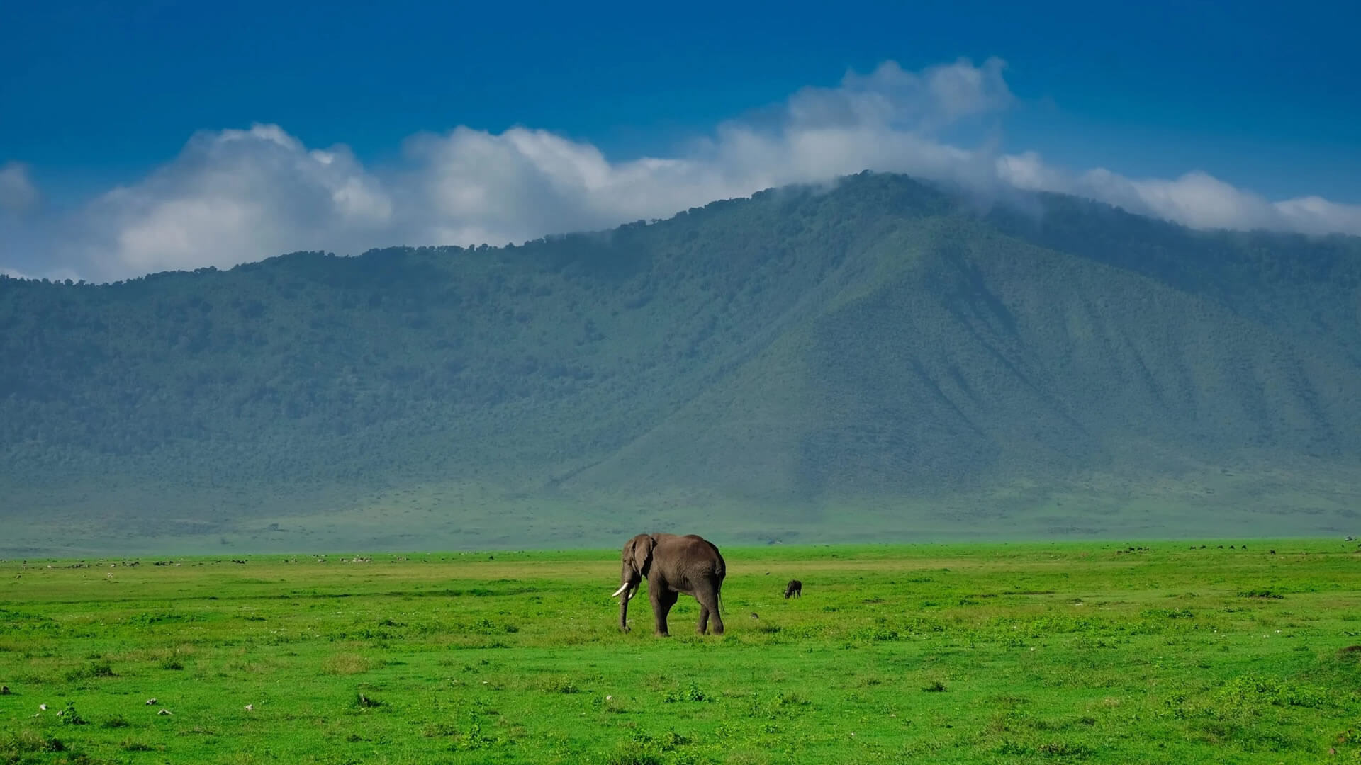 5-Day Tarangire, Serengeti & Ngorongoro Safari