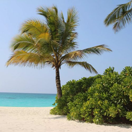 7-zanzibar-holidays