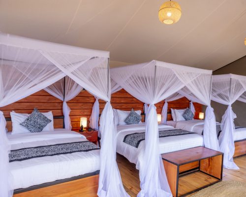 Serengeti-Classic-View-Camp-90-scaled