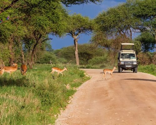 Lake Manyara National Park